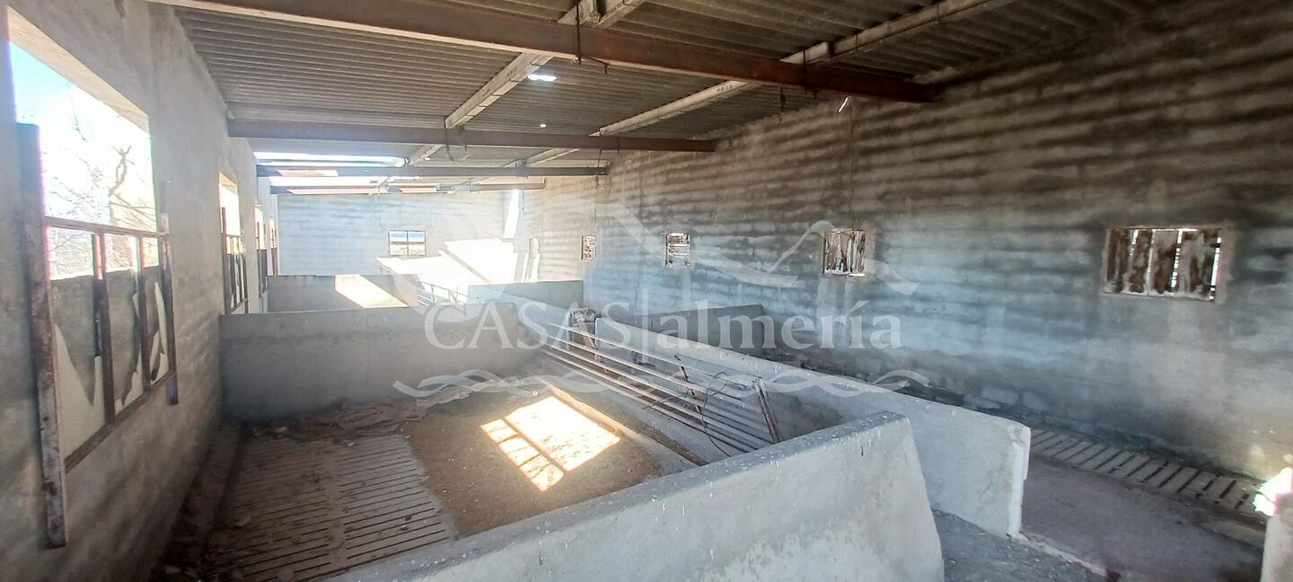 R22344: Cortijo for Sale in Santa Maria De Nieva, Almería R22344: Cortijo for Sale in Santa Maria De Nieva, Almería