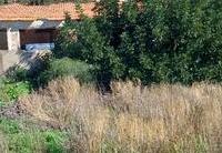 R22344: Cortijo for Sale in Santa Maria De Nieva, Almería