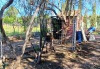 R22348: Cortijo en venta en Los Reyes, Almería