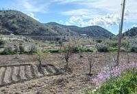 R22349: Cortijo en venta en Calabuche, Almería