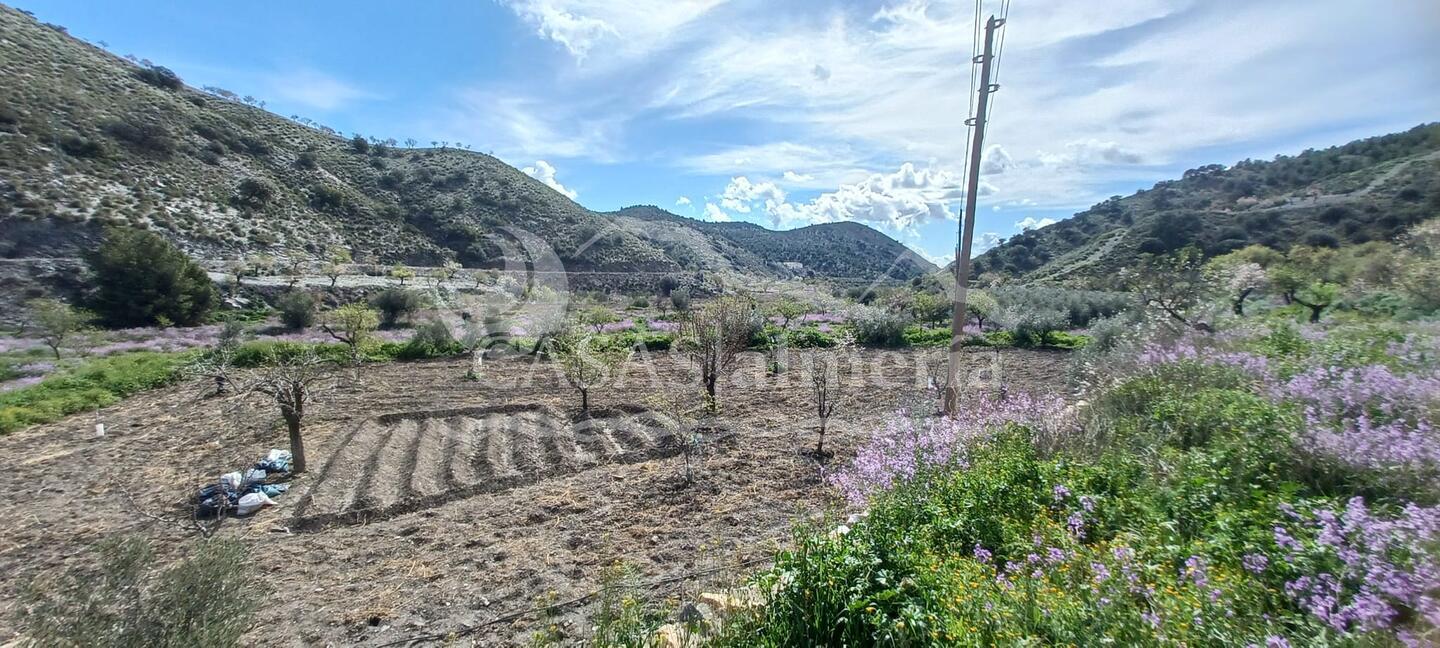 R22349: Cortijo en venta en Calabuche, Almería R22349: Cortijo en venta en Calabuche, Almería