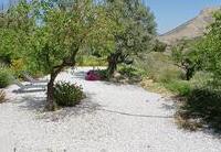 R22350: Cortijo en venta en Velez-Blanco, Almería