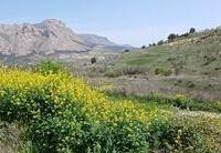 R22350: Cortijo en venta en Velez-Blanco, Almería