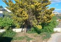 R22351: Villa en venta en Taberno, Almería