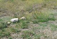 R22358: Rural land for Sale in Rambla Grande, Almería