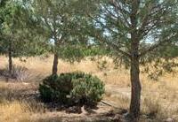 R22359: Rural land for Sale in Rambla Grande, Almería