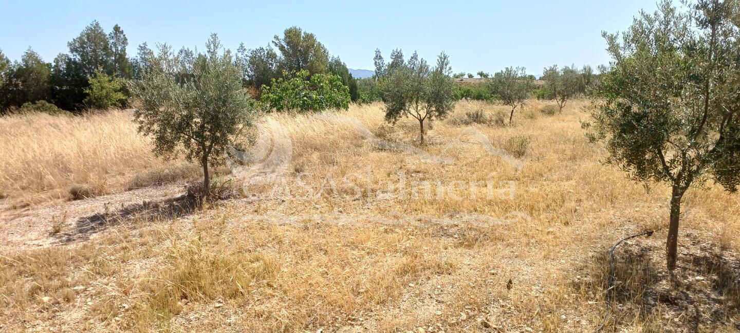 R22359: Rural land for Sale in Rambla Grande, Almería R22359: Rural land for Sale in Rambla Grande, Almería