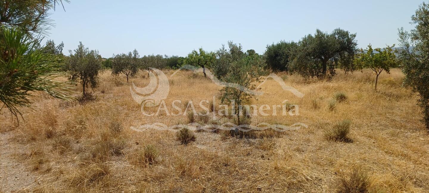 R22359: Rural land for Sale in Rambla Grande, Almería R22359: Rural land for Sale in Rambla Grande, Almería