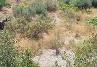 R22359: Rural land for Sale in Rambla Grande, Almería