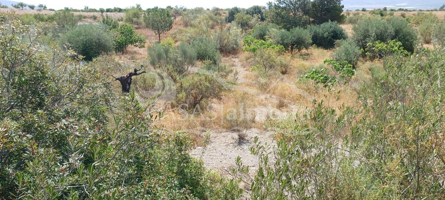 R22359: Rural land for Sale in Rambla Grande, Almería R22359: Rural land for Sale in Rambla Grande, Almería