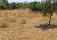 R22359: Rural land for Sale in Rambla Grande, Almería
