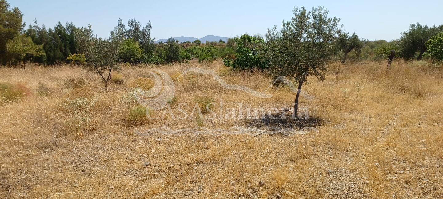 R22359: Rural land for Sale in Rambla Grande, Almería R22359: Rural land for Sale in Rambla Grande, Almería