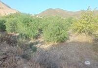 R22361: Cortijo en venta en Lubrin, Almería