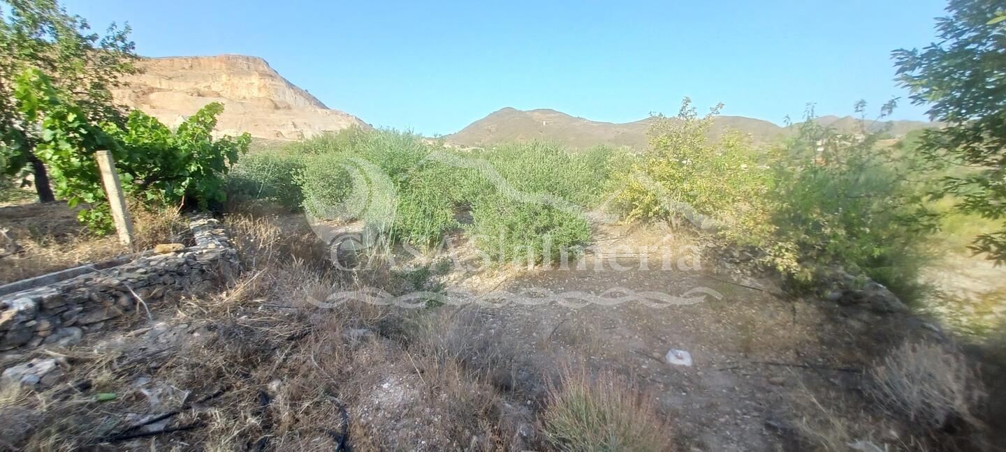 R22361: Cortijo en venta en Lubrin, Almería R22361: Cortijo en venta en Lubrin, Almería