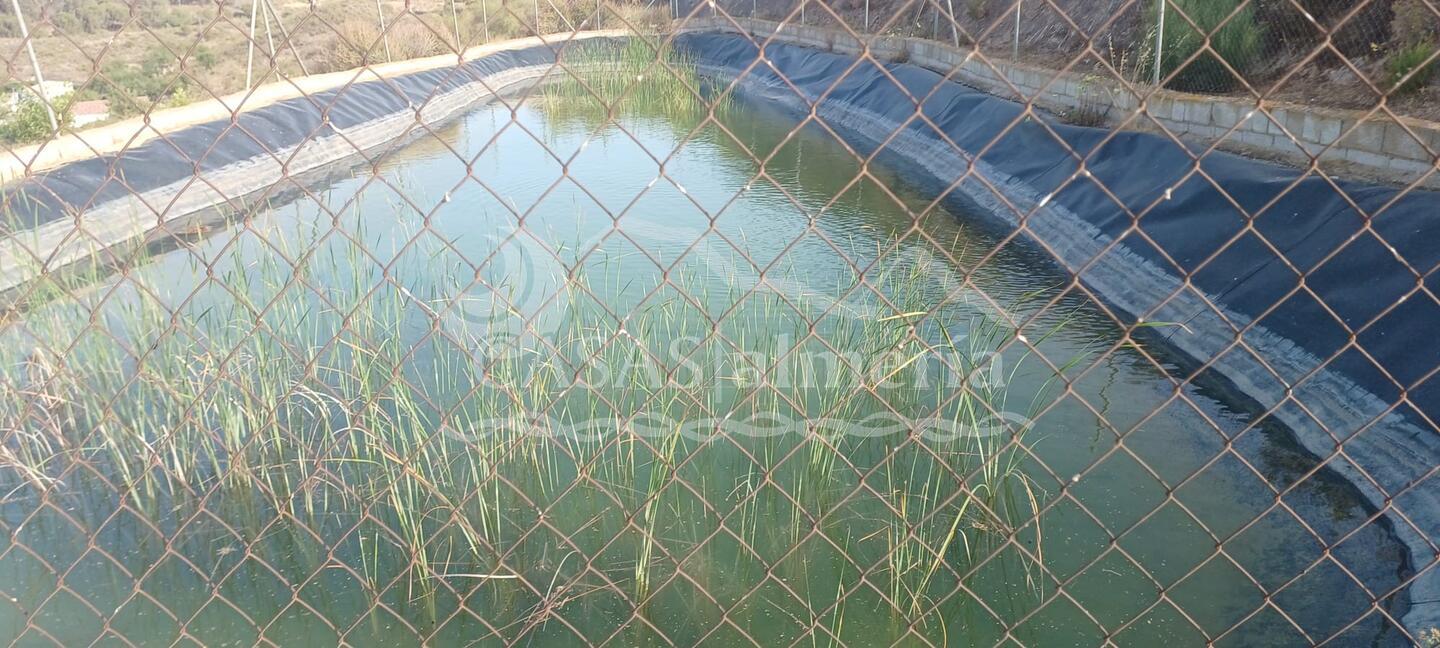 R22361: Cortijo en venta en Lubrin, Almería R22361: Cortijo en venta en Lubrin, Almería