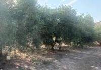 R22361: Cortijo en venta en Lubrin, Almería