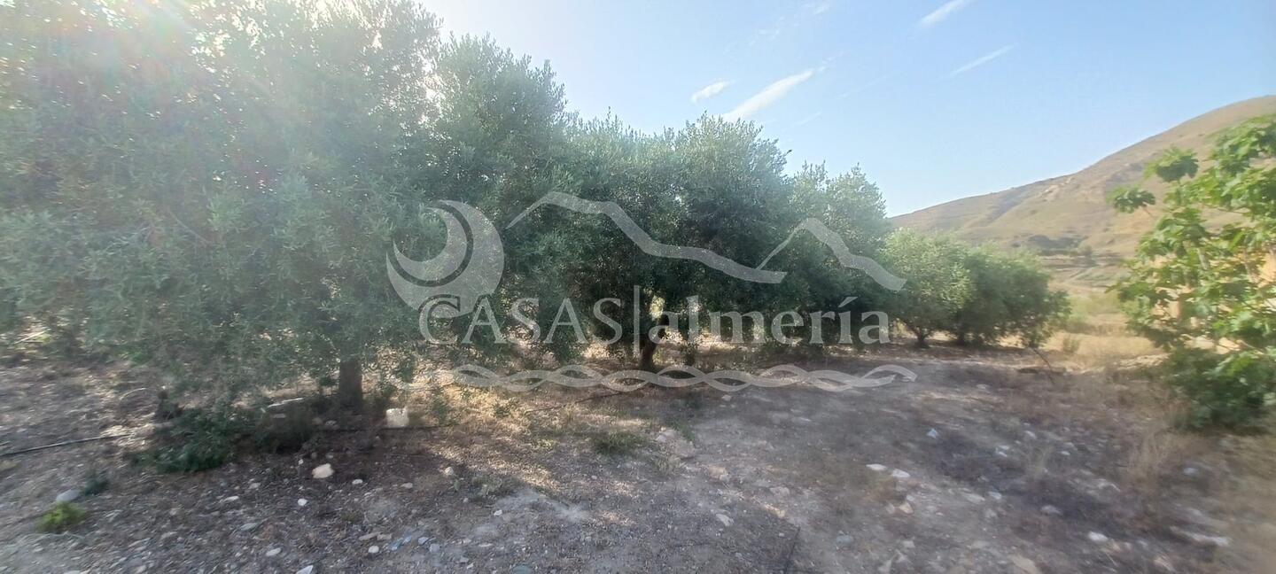 R22361: Cortijo en venta en Lubrin, Almería R22361: Cortijo en venta en Lubrin, Almería