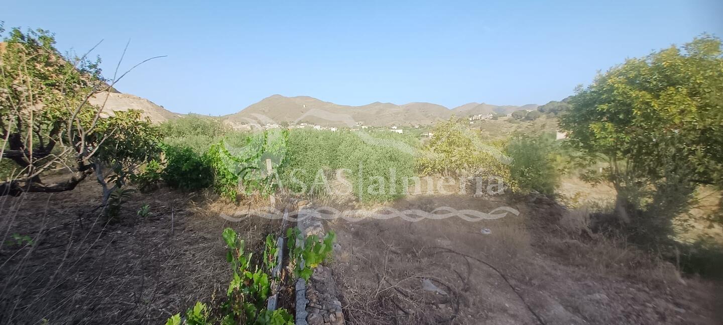 R22361: Cortijo en venta en Lubrin, Almería R22361: Cortijo en venta en Lubrin, Almería