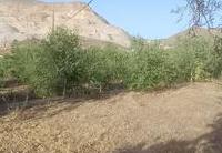 R22361: Cortijo en venta en Lubrin, Almería