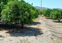 R22362: Finca Rústica en venta en El Saltador, Almería