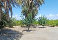R22362: Finca Rústica en venta en El Saltador, Almería