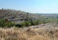 R22363: Finca Rústica en venta en Puerto Lumbreras, Murcia