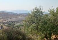 R22363: Finca Rústica en venta en Puerto Lumbreras, Murcia