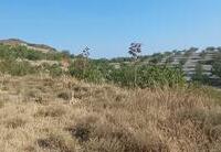 R22363: Finca Rústica en venta en Puerto Lumbreras, Murcia