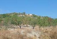 R22363: Finca Rústica en venta en Puerto Lumbreras, Murcia