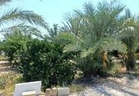 R22365: Cortijo for Sale in El Saltador, Almería
