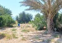 R22365: Cortijo for Sale in El Saltador, Almería