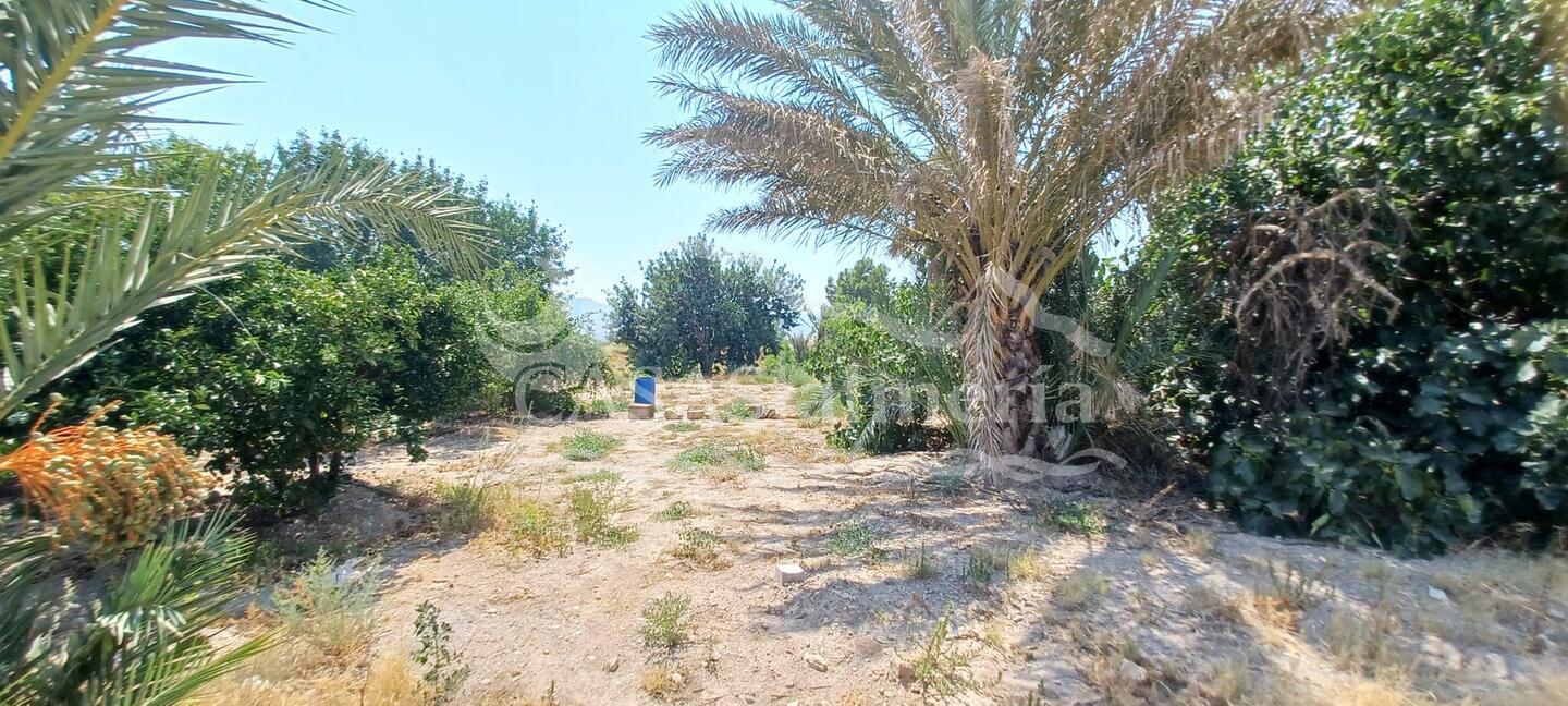 R22365: Cortijo for Sale in El Saltador, Almería R22365: Cortijo for Sale in El Saltador, Almería