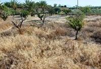 R22366: Cortijo en venta en El Saltador, Almería